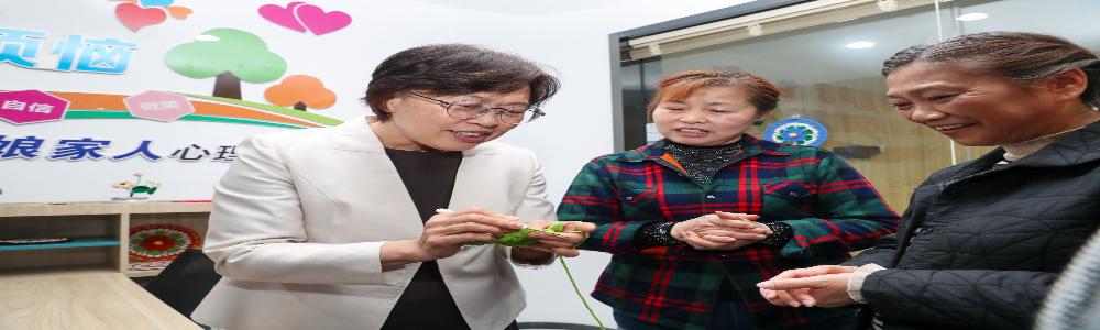 全国妇联党组书记、副主席、书记处第一书记黄晓薇来芜调研